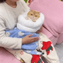 PurrLounge™ - Sleeping bag for dogs & cats