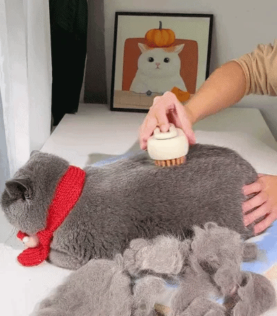 PamperPaws™ - All-in-one coat care solution