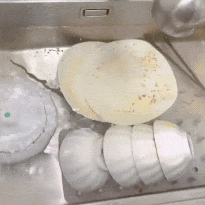 EasyWash™ - Portable washing machine